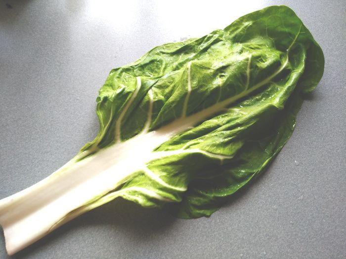 Presentamos a la Beta vulgaris variedad cicla