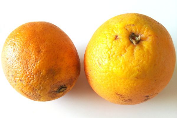 Un verano con conciencia ecológica