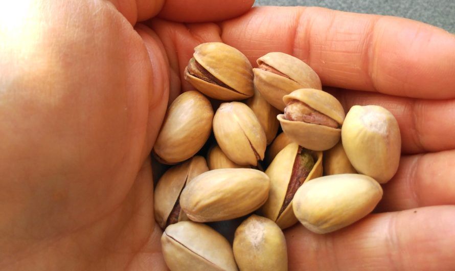 Mi ración en tiempos de confinamiento (por COVID o por lo que sea)